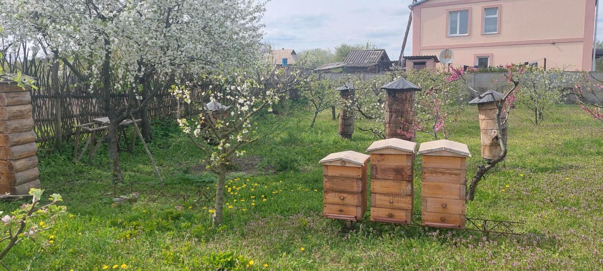 Садиба Зеленого Туризму «Золота Рибка» Medvedevka Eksteriør bilde